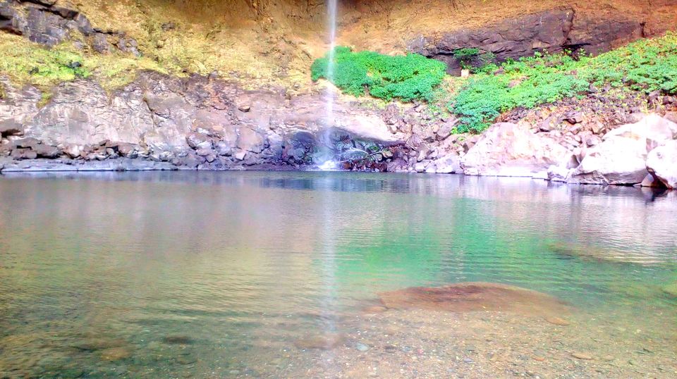 Photo of The Wilderness is calling and I must go… 6/8 by Richa Powale