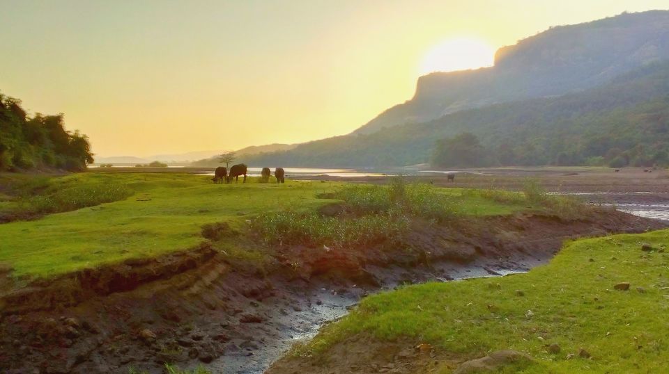Photo of The Wilderness is calling and I must go… 7/8 by Richa Powale