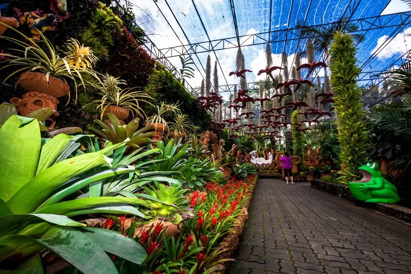 Photo of Nong Nooch Tropical Botanical Garden Pattaya City Thailand by Richa Powale