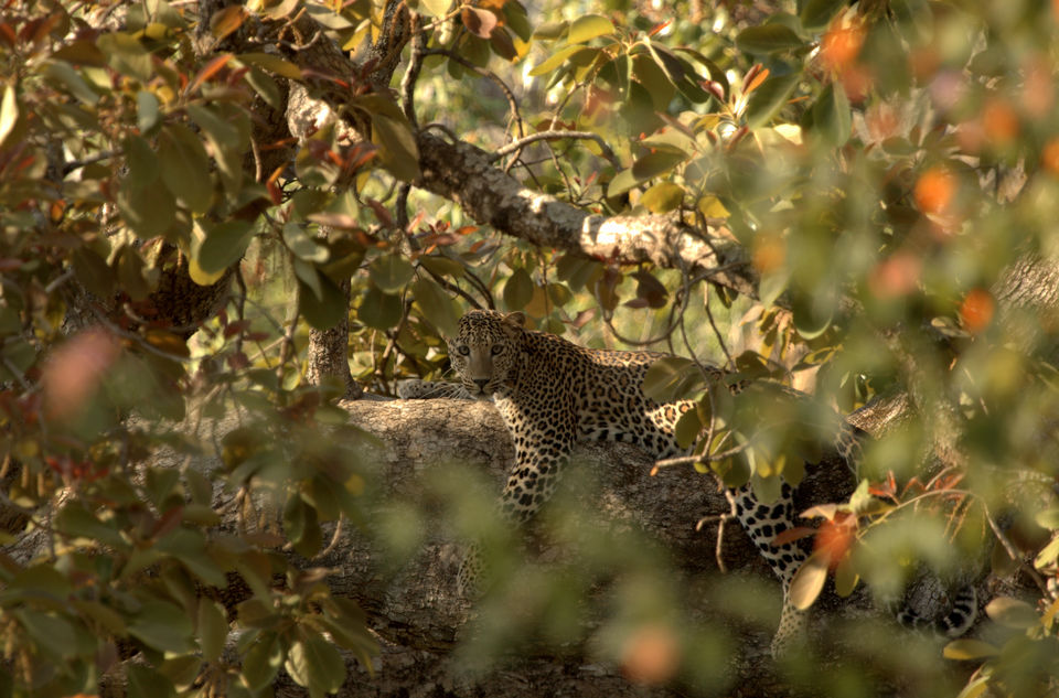 Photo of Somewhere I belong! 2/3 by Sampada Rao