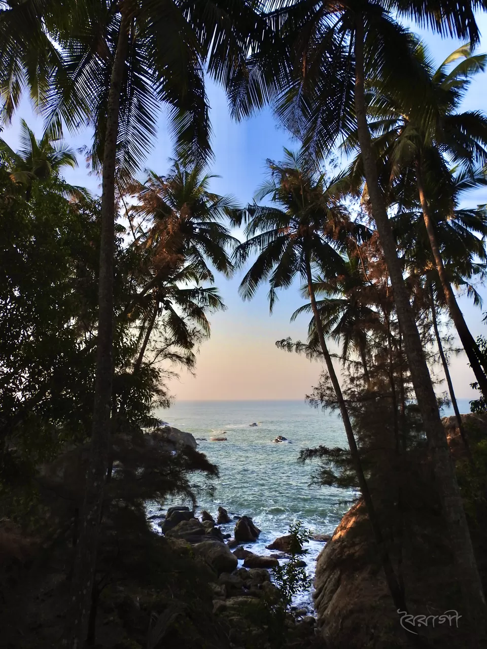 Photo of Palolem Beach, Goa by Shyama Pal