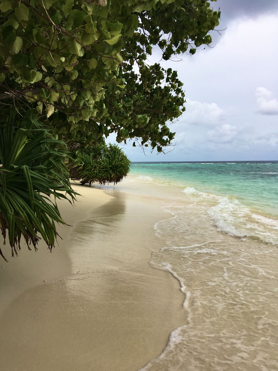 Photo of My Impulsive Maldives Trip #MemoryLane by Shyama Pal
