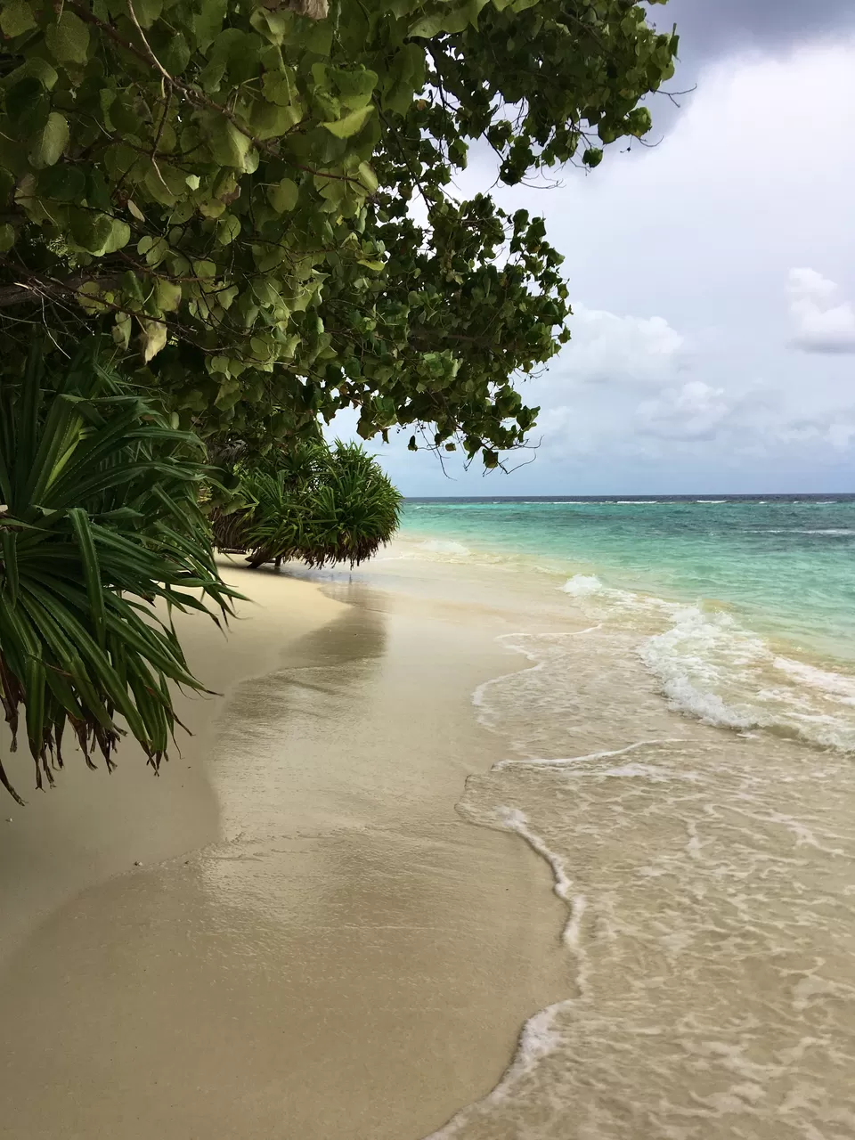 Photo of My Impulsive Maldives Trip #MemoryLane by Shyama Pal