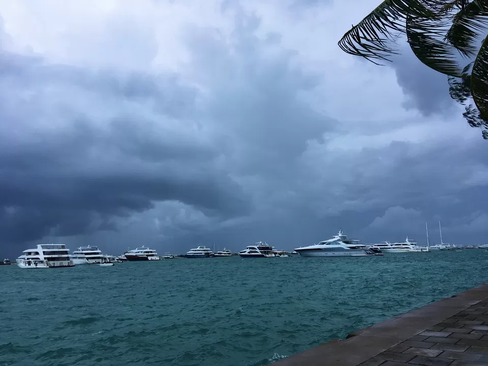 Photo of My Impulsive Maldives Trip #MemoryLane by Shyama Pal