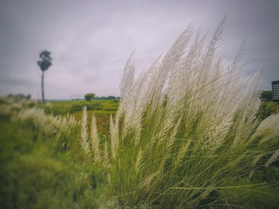 Photo of Baripada, Odisha, India by Rachit Kirteeman