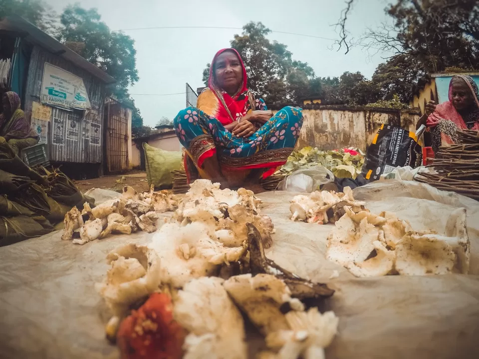 Photo of Majestic Mayurbhanj by Rachit Kirteeman