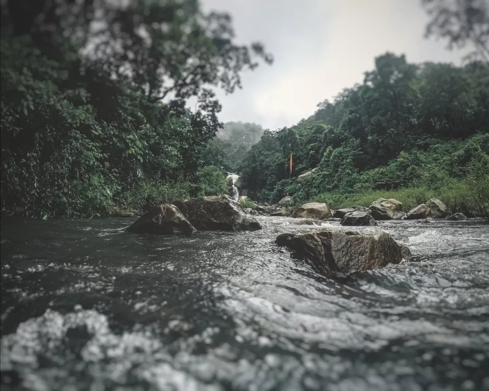 Photo of Majestic Mayurbhanj by Rachit Kirteeman