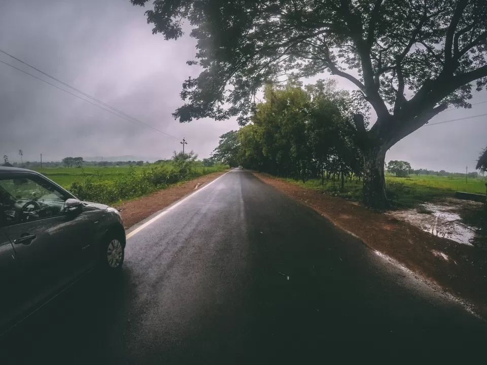 Photo of Majestic Mayurbhanj by Rachit Kirteeman