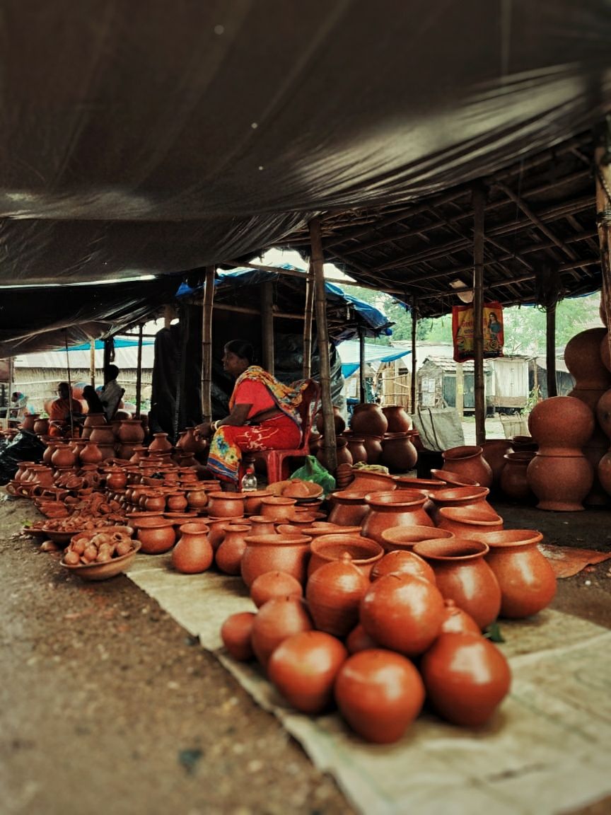 Photo of Majestic Mayurbhanj by Rachit Kirteeman