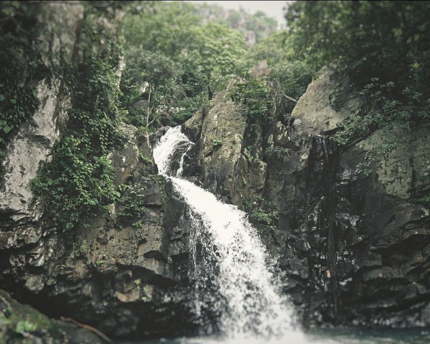 Photo of Majestic Mayurbhanj by Rachit Kirteeman