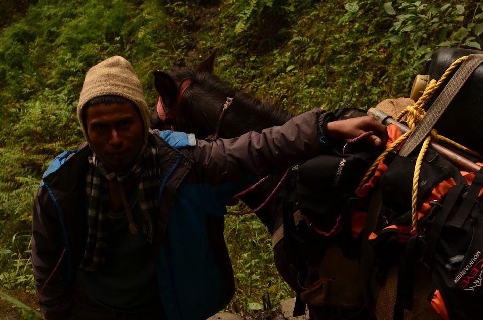 Photo of Naggar to Malana : Trek to Athens of Himalayas 6/14 by Diwanshu