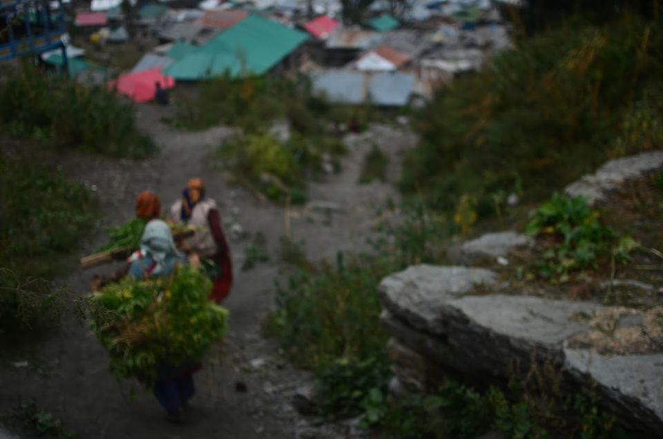 Photo of Naggar to Malana : Trek to Athens of Himalayas 11/14 by Diwanshu