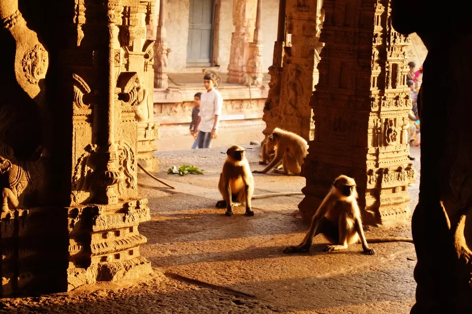 Photo of Dear Traveller...Love From Hampi !! by nishant shrivastava