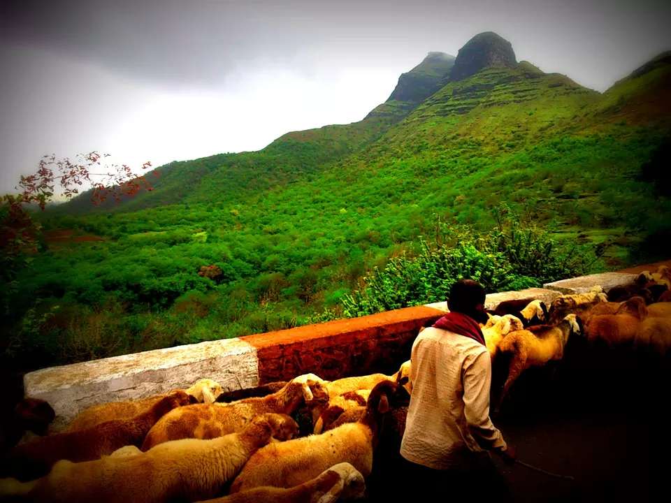 Photo of Wani, Maharashtra, India by nishant shrivastava