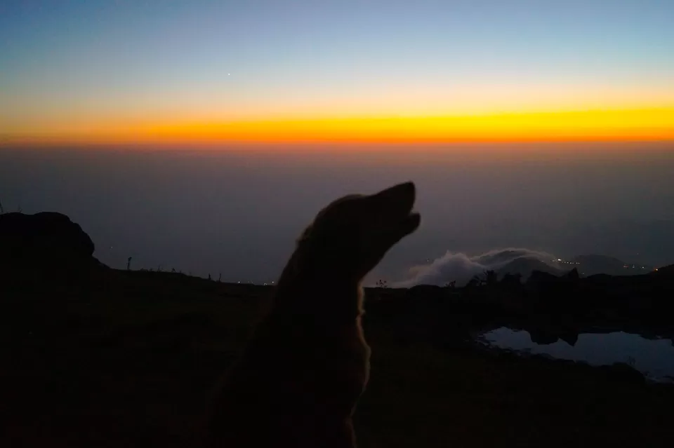 Photo of Traversing the Magical Triund & Laka...!! by nishant shrivastava