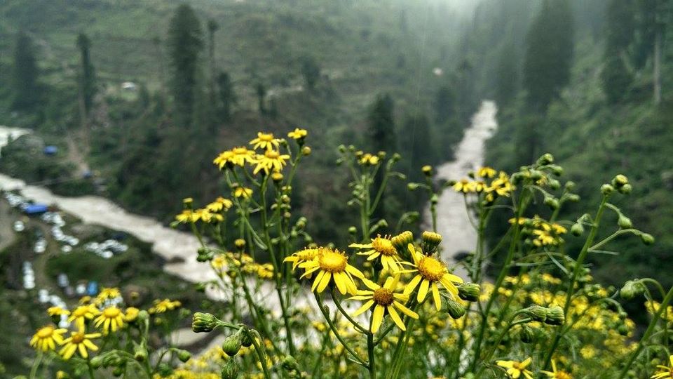 Photo of Fierce Parvati Valley (a budget solo trip). 16/34 by Sanjeeb Kumar Phukan
