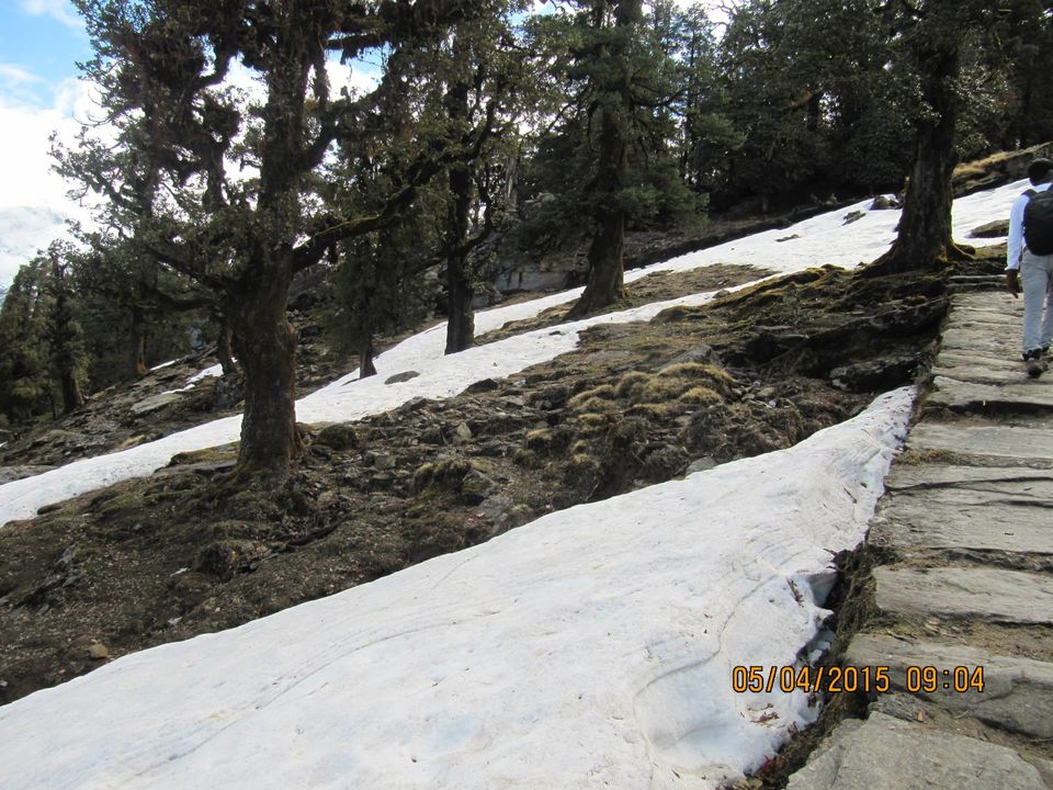 Photo of Hike to Tungnath by Anusha Iyer