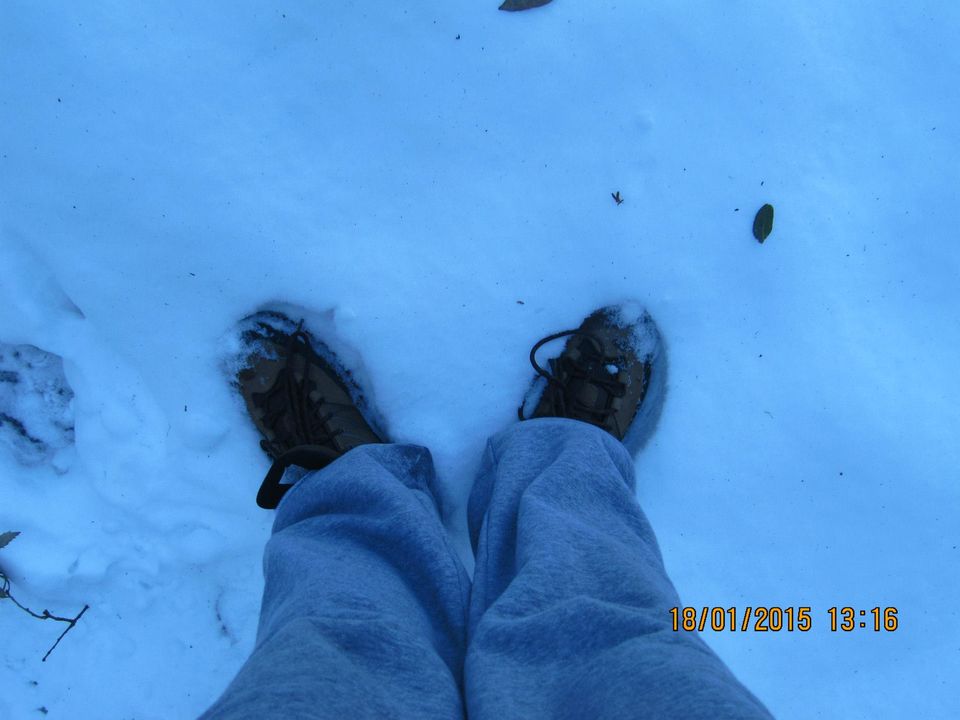Photo of Trek to Prashar lake enroute Kasol by Anusha Iyer