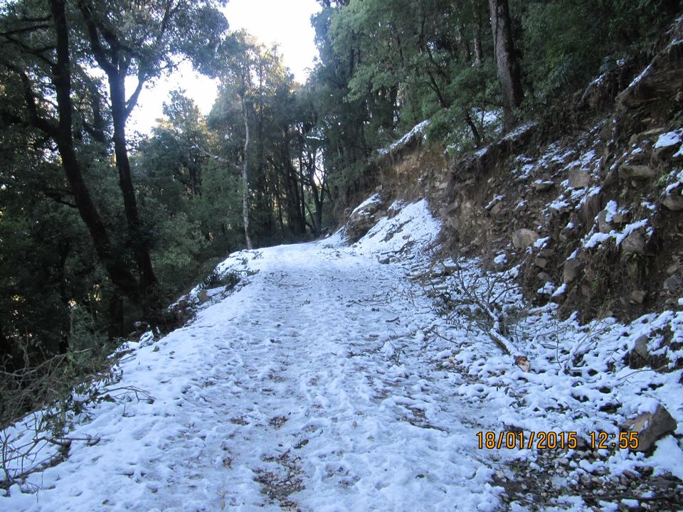 Photo of Trek to Prashar lake enroute Kasol by Anusha Iyer