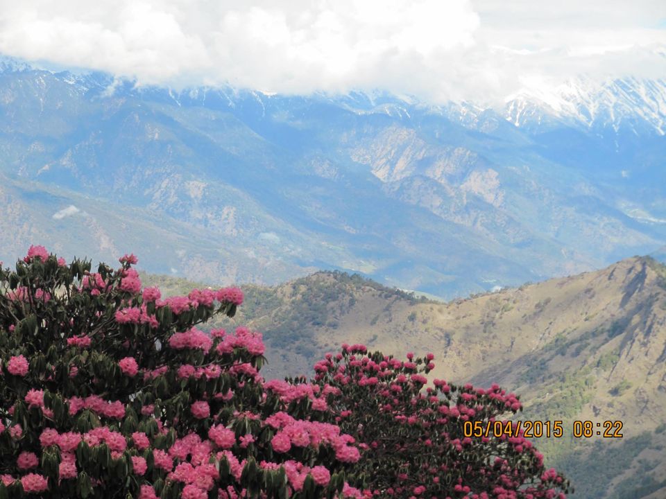 Photo of Hike to Tungnath by Anusha Iyer