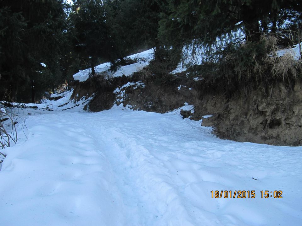 Photo of Trek to Prashar lake enroute Kasol by Anusha Iyer