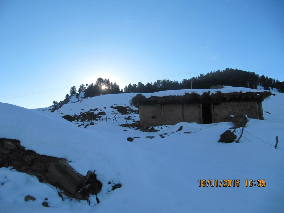 Photo of Trek to Prashar lake enroute Kasol by Anusha Iyer