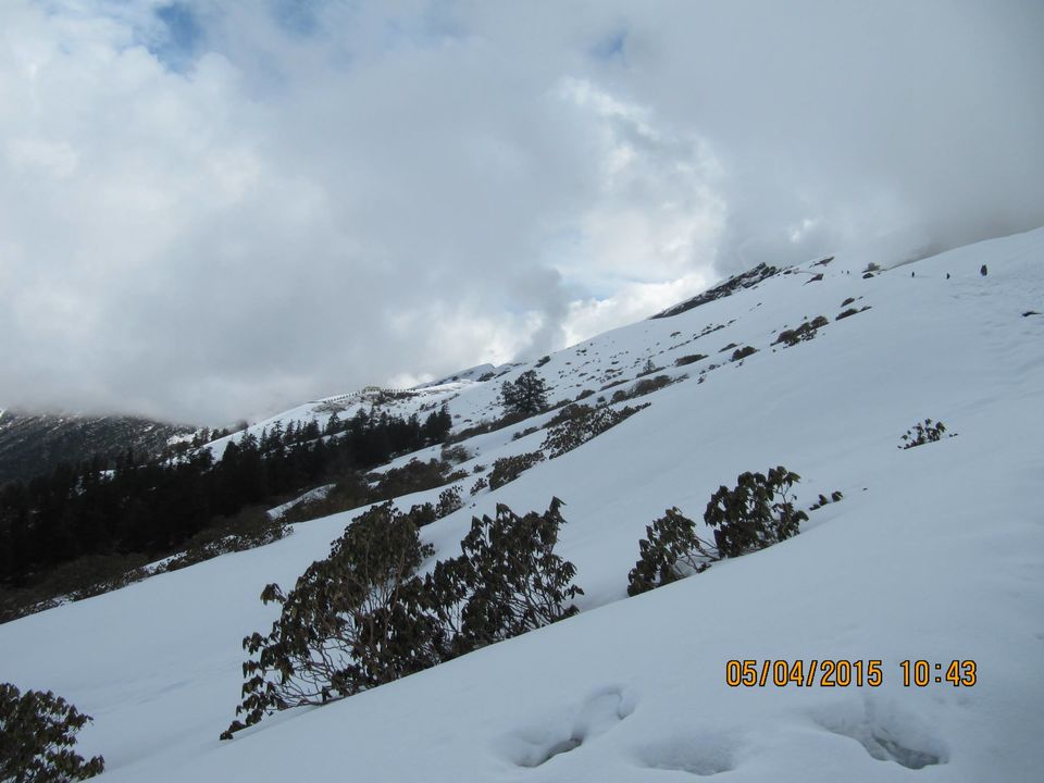 Photo of Hike to Tungnath by Anusha Iyer