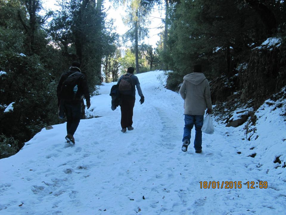 Photo of Trek to Prashar lake enroute Kasol by Anusha Iyer