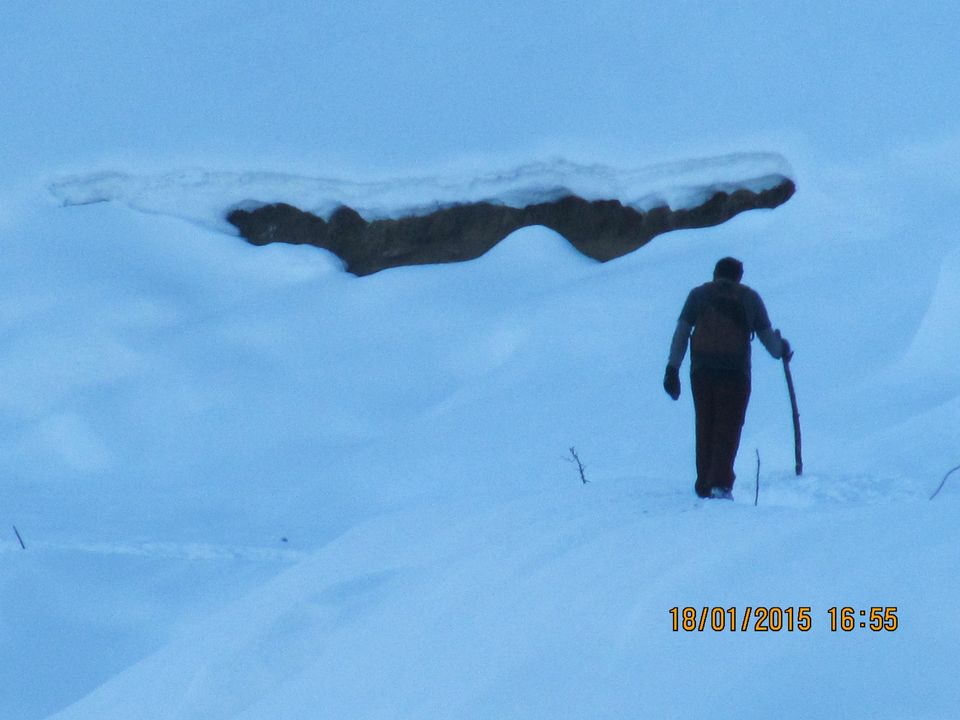 Photo of Trek to Prashar lake enroute Kasol by Anusha Iyer