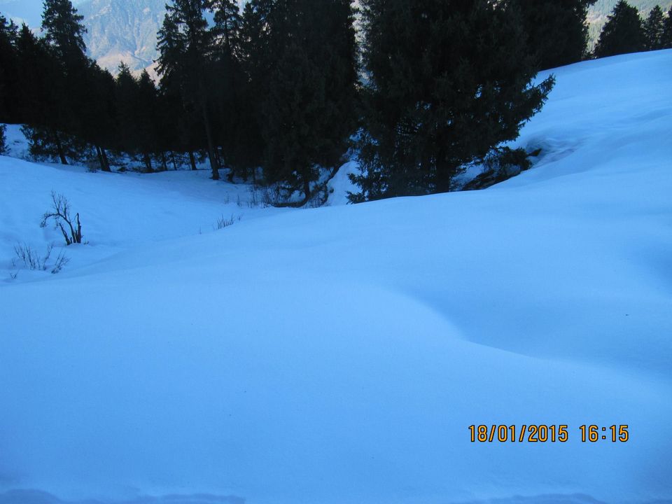 Photo of Trek to Prashar lake enroute Kasol by Anusha Iyer