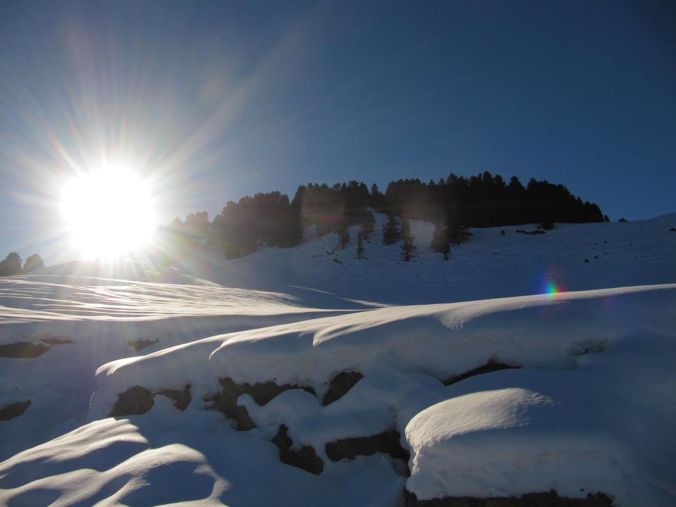 Photo of Trek to Prashar lake enroute Kasol by Anusha Iyer