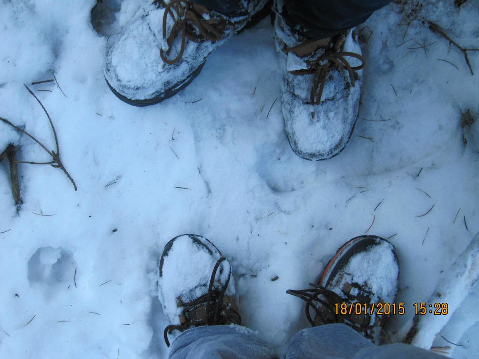Photo of Trek to Prashar lake enroute Kasol by Anusha Iyer