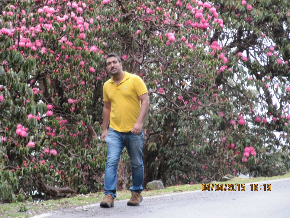Photo of Hike to Tungnath by Anusha Iyer