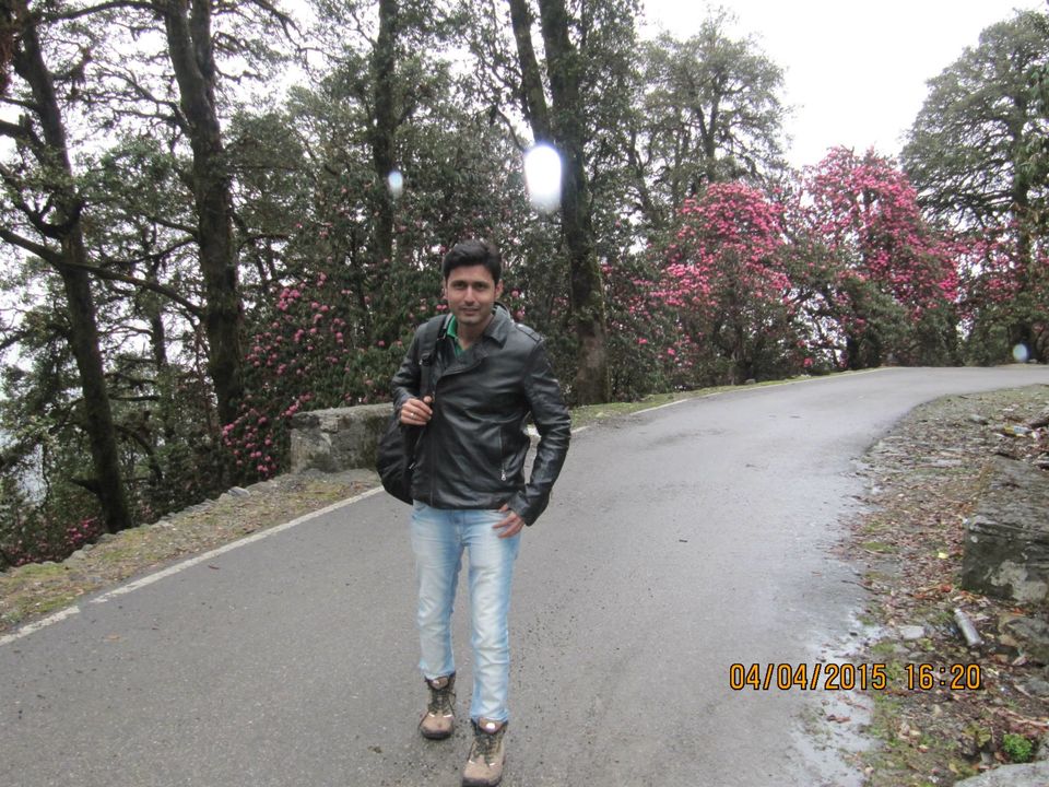 Photo of Hike to Tungnath by Anusha Iyer