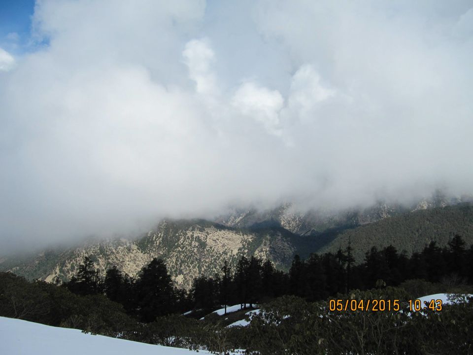 Photo of Hike to Tungnath by Anusha Iyer