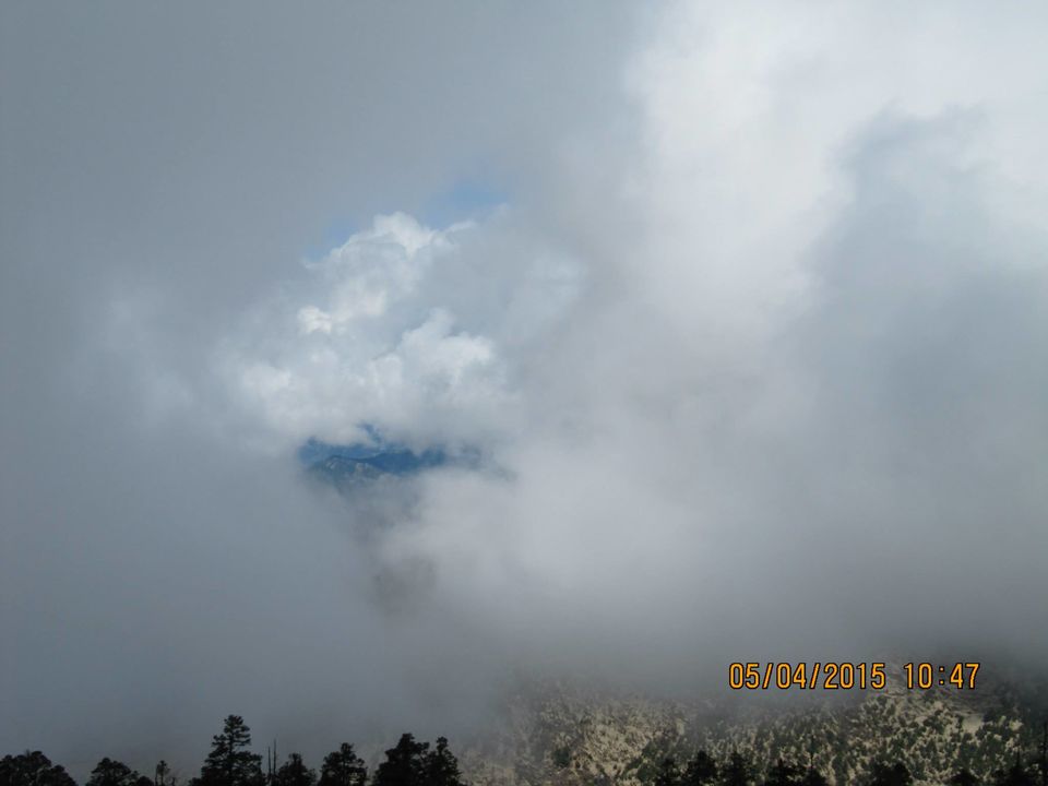 Photo of Hike to Tungnath by Anusha Iyer