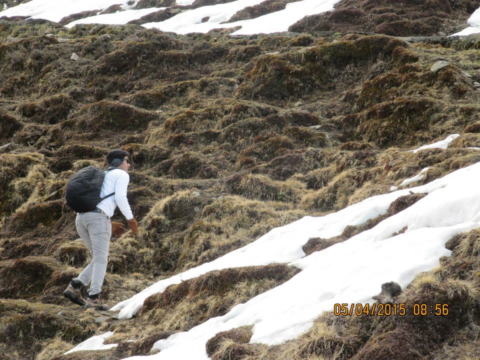 Photo of Hike to Tungnath by Anusha Iyer