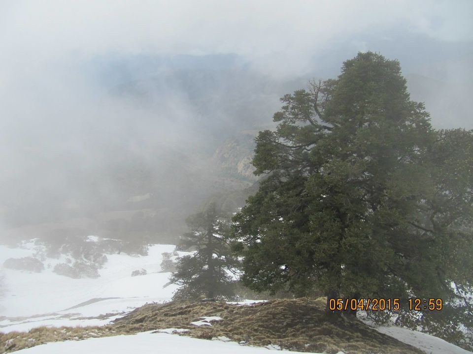 Photo of Hike to Tungnath by Anusha Iyer