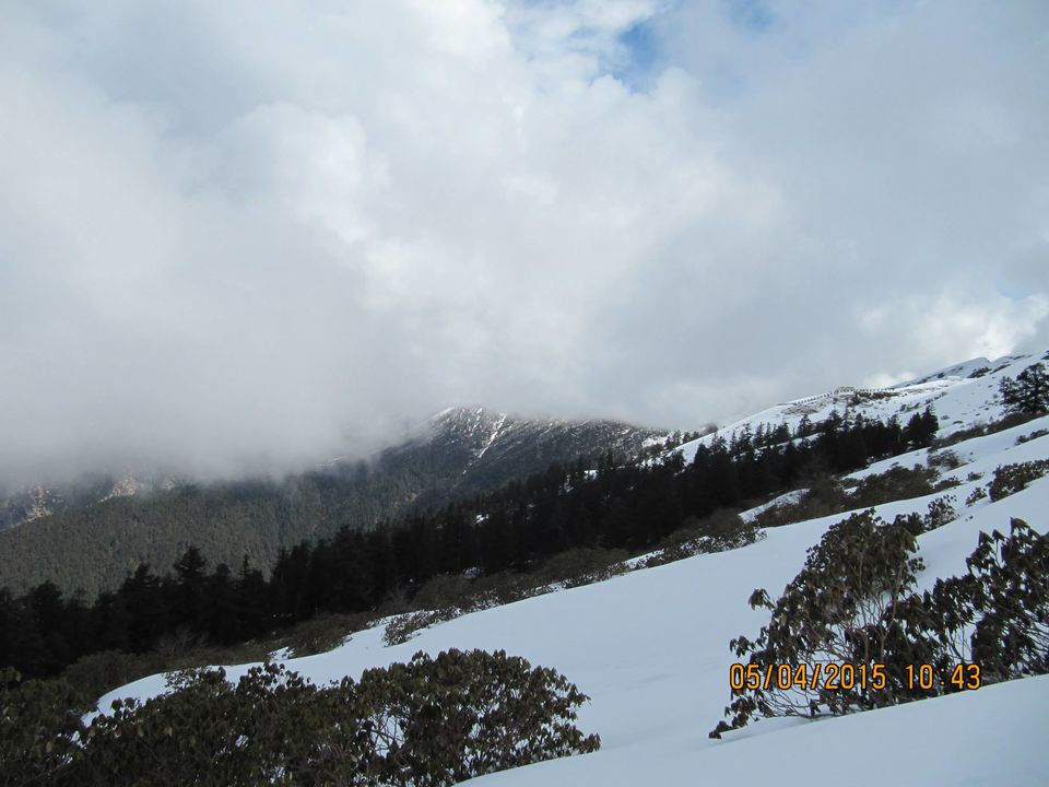 Photo of Hike to Tungnath by Anusha Iyer