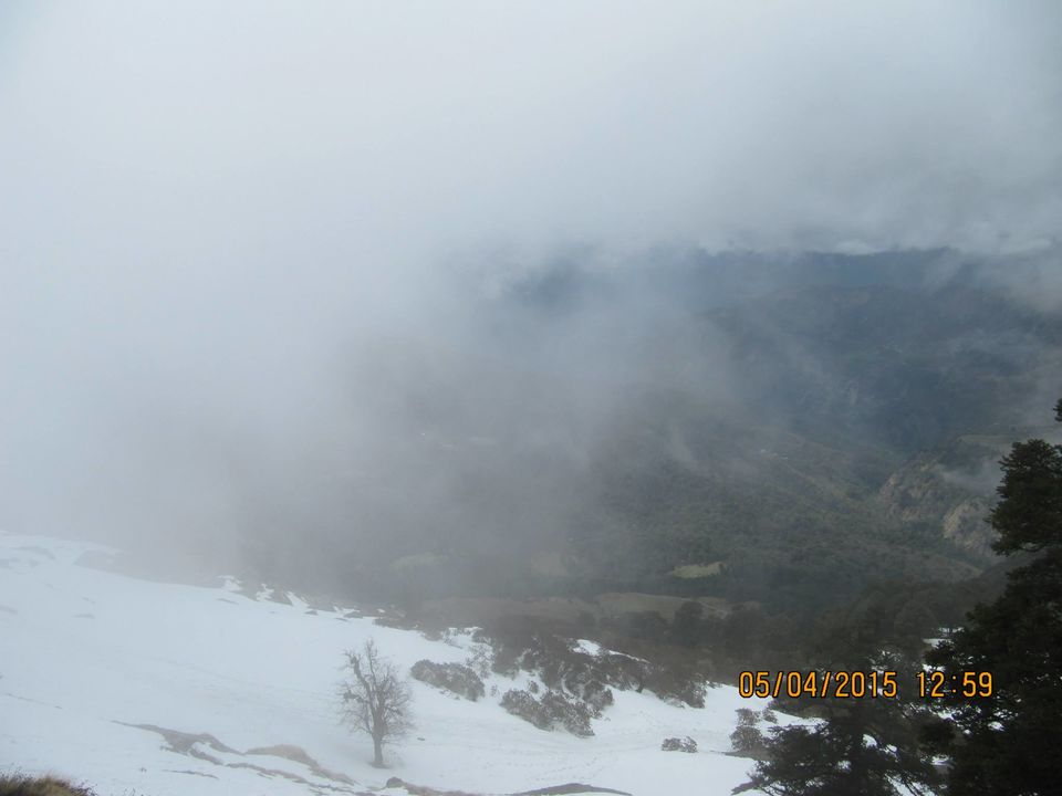 Photo of Hike to Tungnath by Anusha Iyer