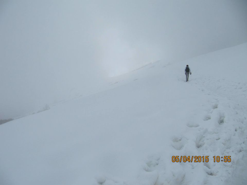 Photo of Hike to Tungnath by Anusha Iyer