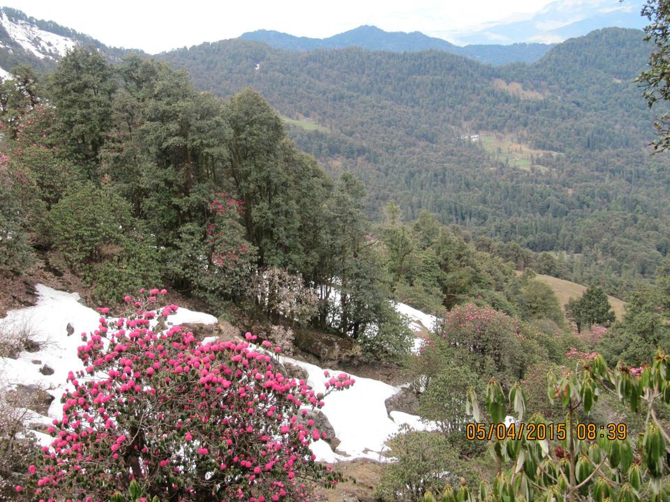 Photo of Hike to Tungnath by Anusha Iyer