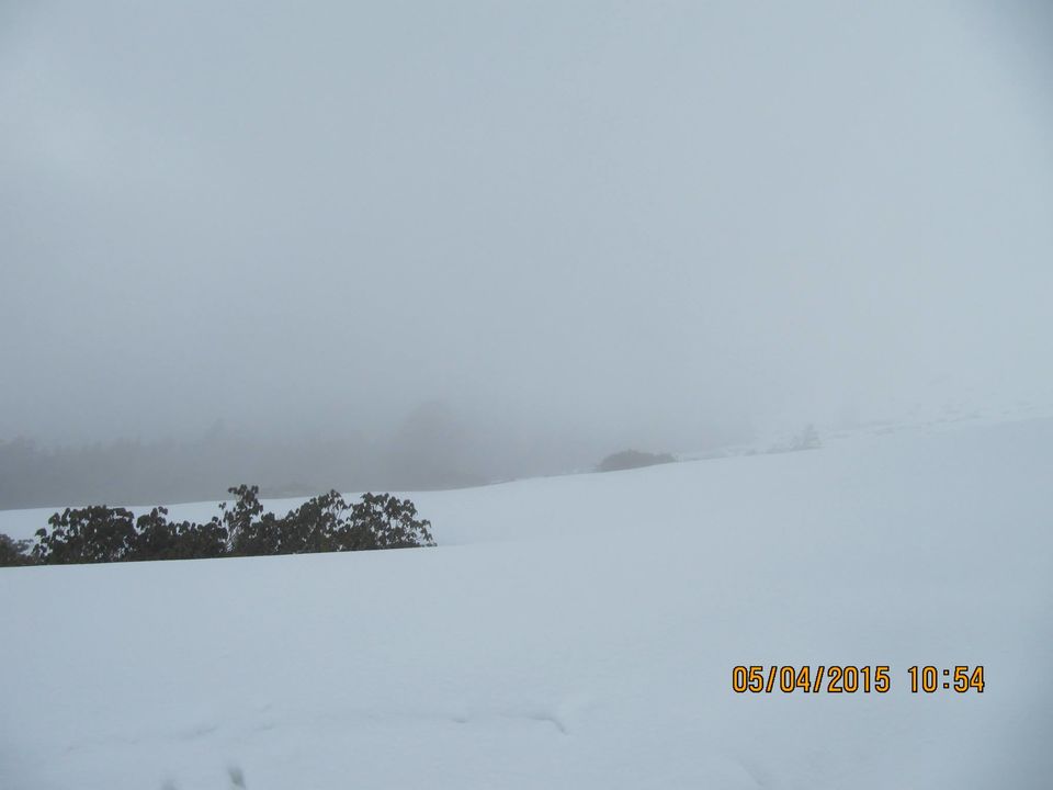 Photo of Hike to Tungnath by Anusha Iyer