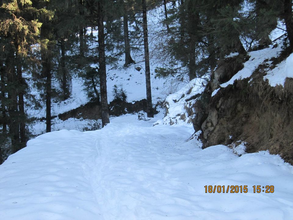 Photo of Trek to Prashar lake enroute Kasol by Anusha Iyer