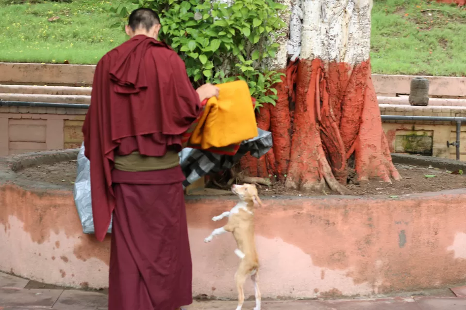 Photo of Bodh Gaya, Bihar, India by Arjun Ravishankar
