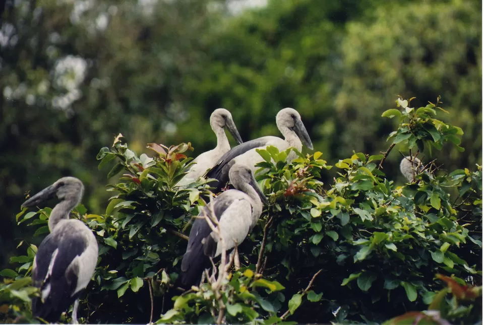 Photo of Bondla Bird Santuary, Goa by Ruchika Arora