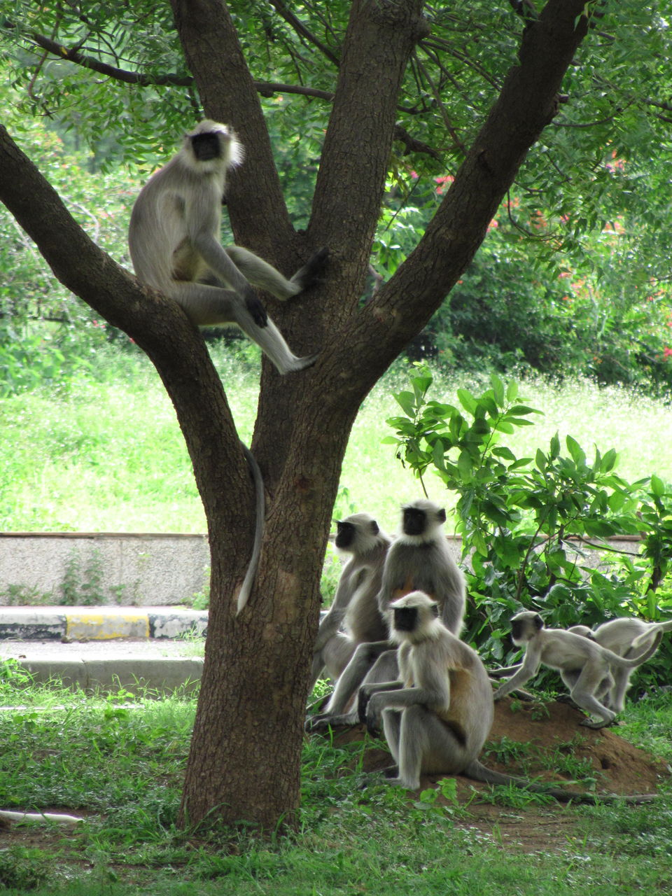 Photo of Weekend backpacking to Ajanta Ellora Caves #TravelIndia 8/52 by Somdutta Sarkar