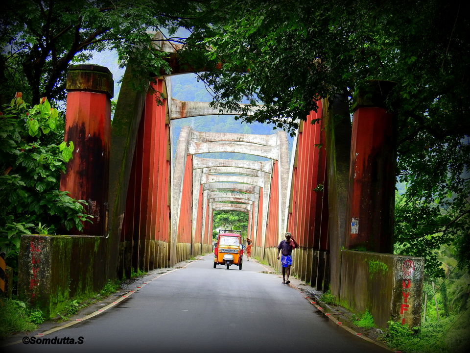 Photo of Munnar, Kerala, India by Somdutta Sarkar