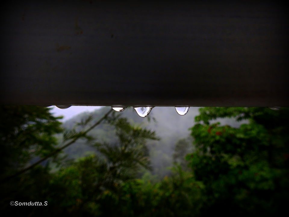 Photo of Season7, The Nature Resort, Munnar, Kerala, India by Somdutta Sarkar