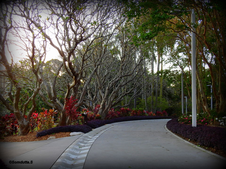 Photo of King George Square, 1E, Brisbane City QLD, Australia by Somdutta Sarkar